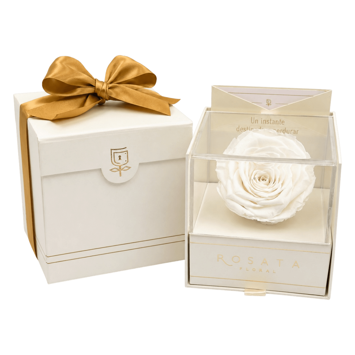 Everty Champagne Blanca - arreglo de rosas - Rosata Floral