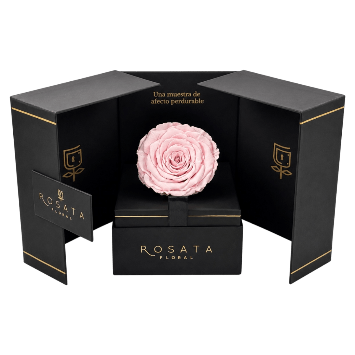 Eternal - arreglo de rosas - Rosata Floral
