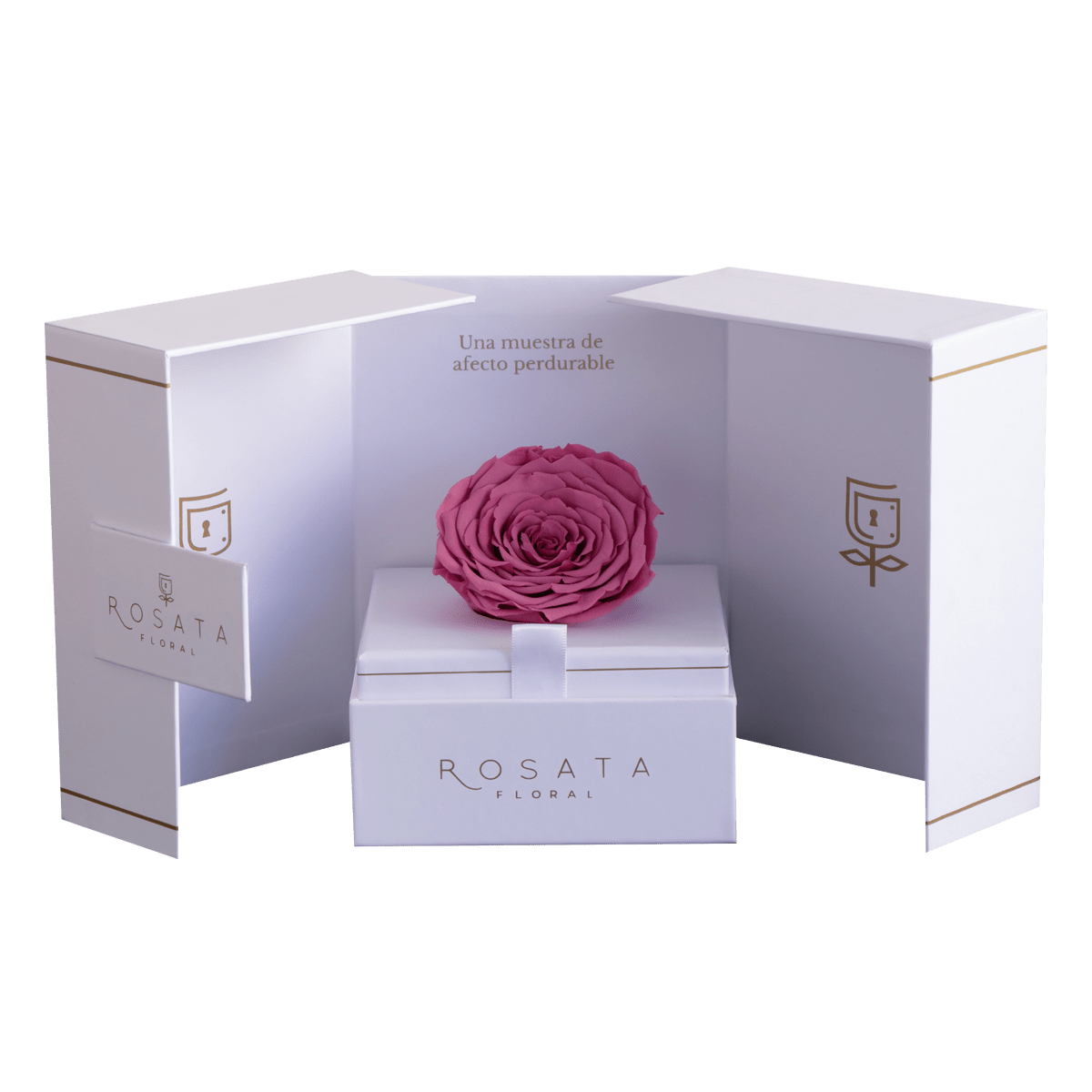 Eternal White - arreglo de rosas - Rosata Floral