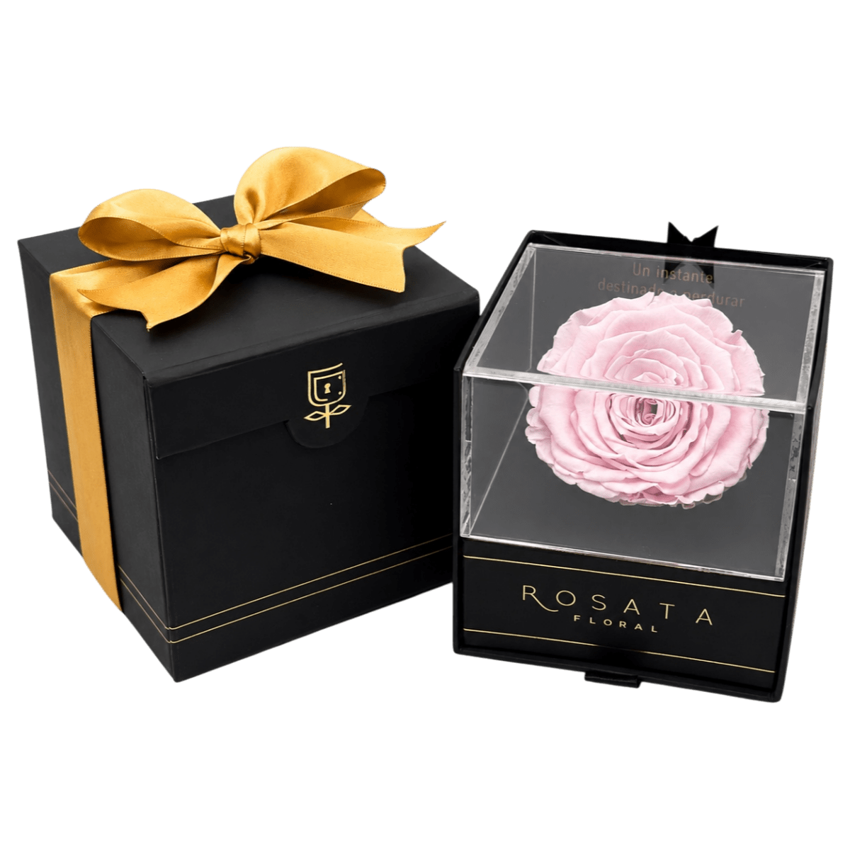 Everty - arreglo de rosas - Rosata Floral