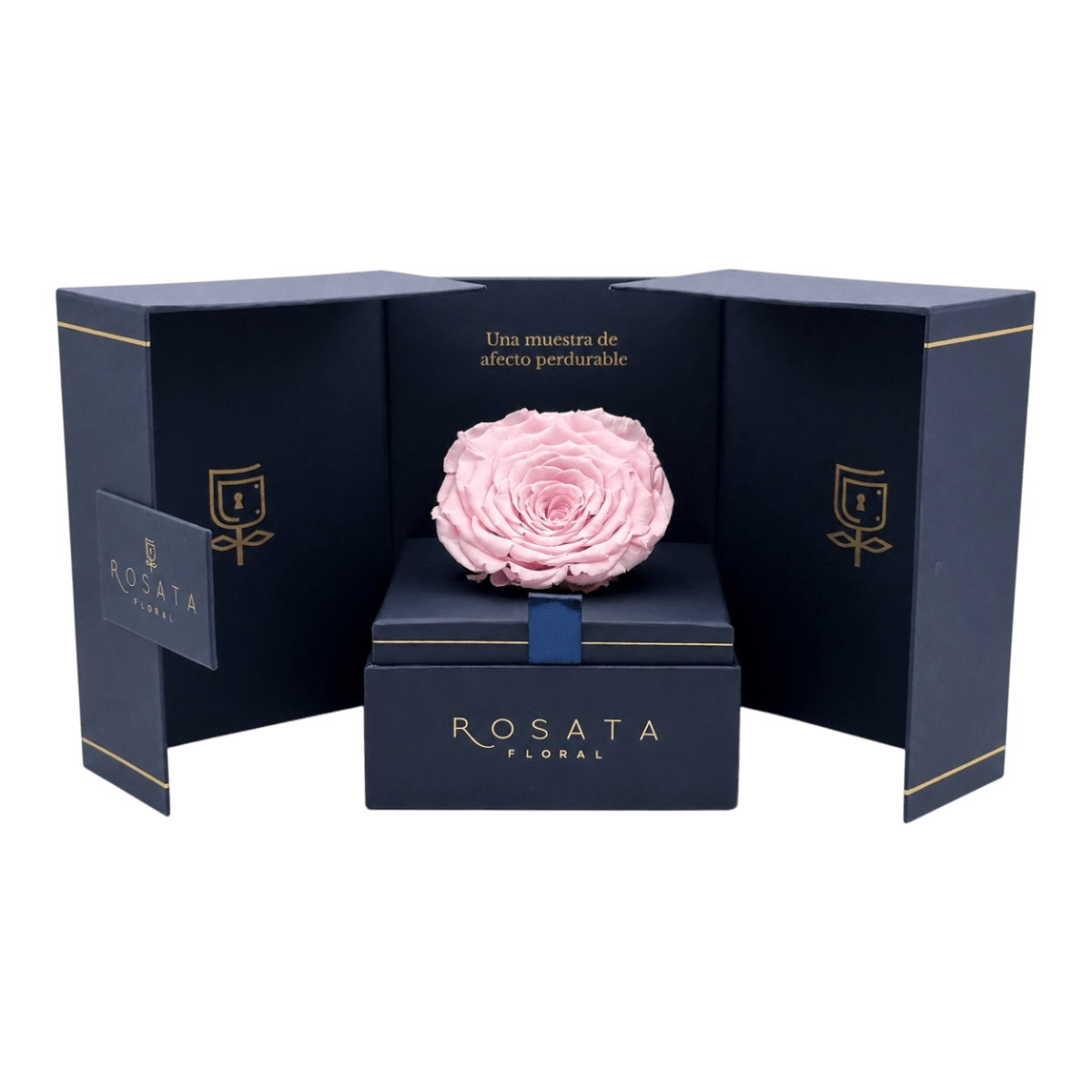 Eternal Saphiro - arreglo de rosas - Rosata Floral