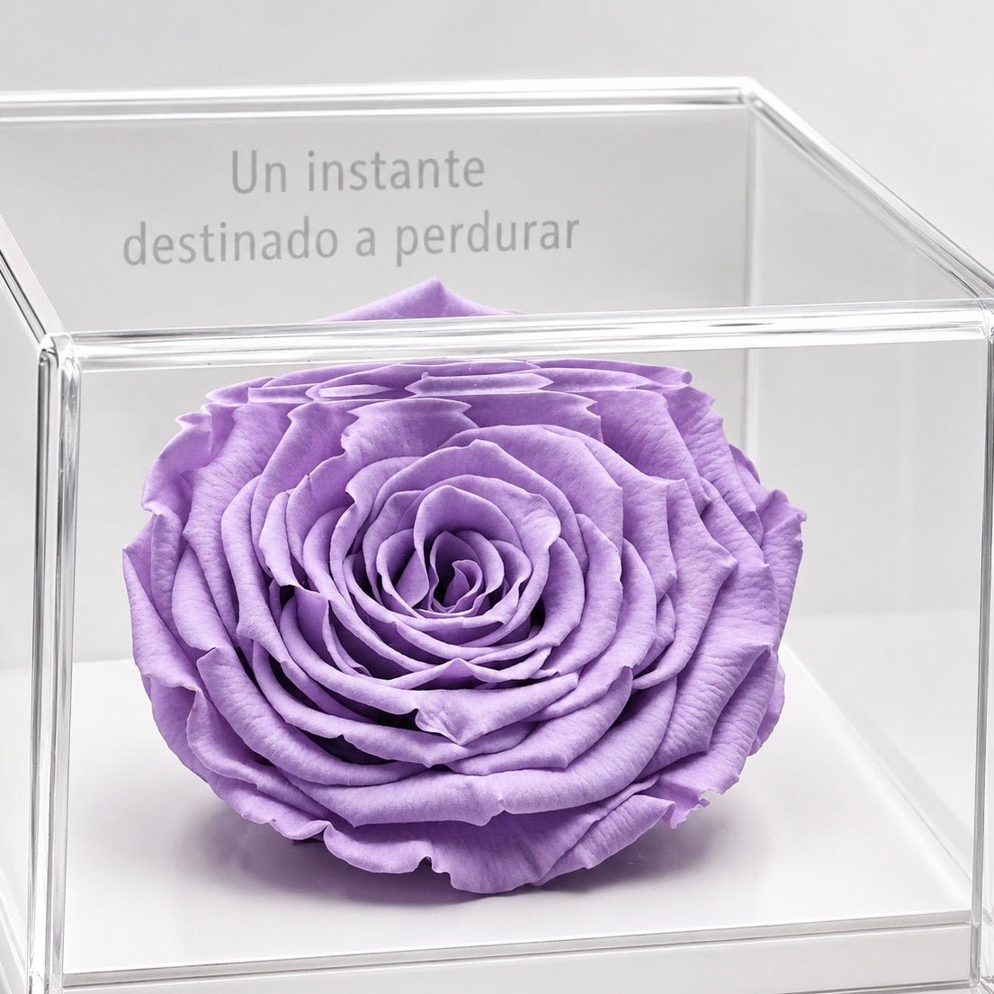Everty White Lila - arreglo de rosas - Rosata Floral