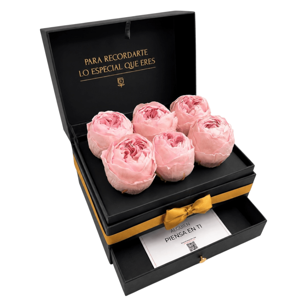 Cofret | 6 Peonias - arreglo de rosas - Rosata Floral