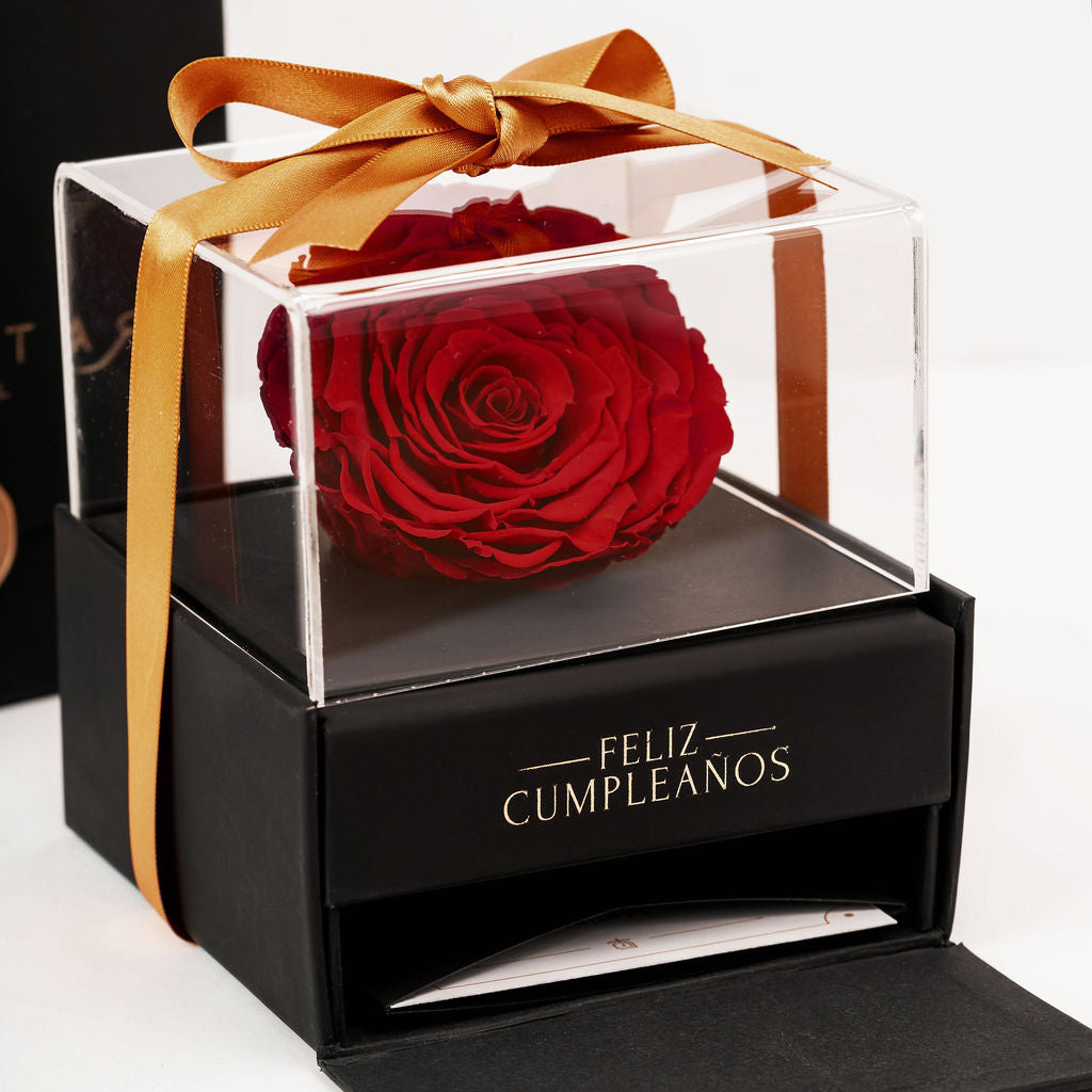 Elegance “Feliz Cumpleaños”