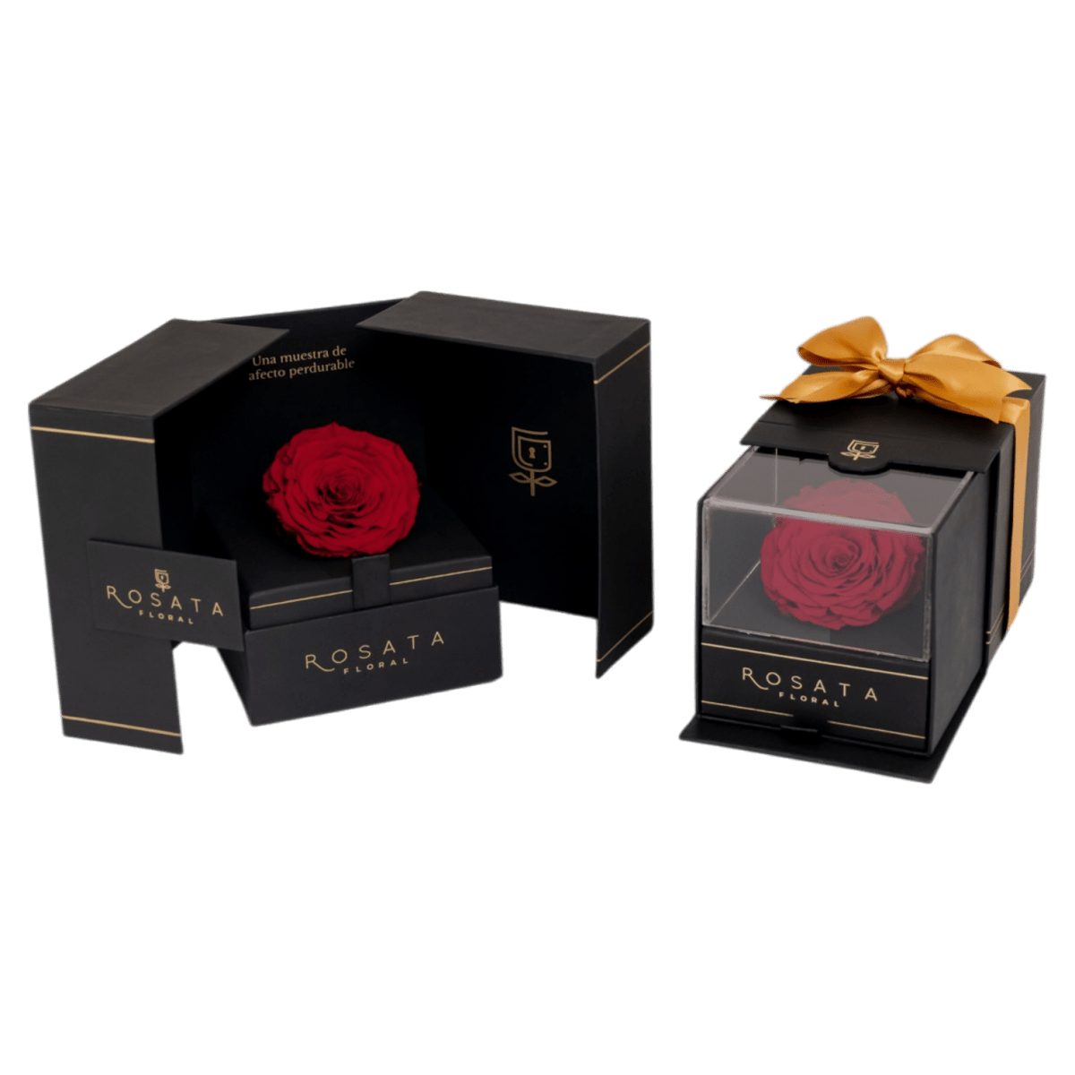 Dúo: Conexión Pura - arreglo de rosas - Rosata Floral