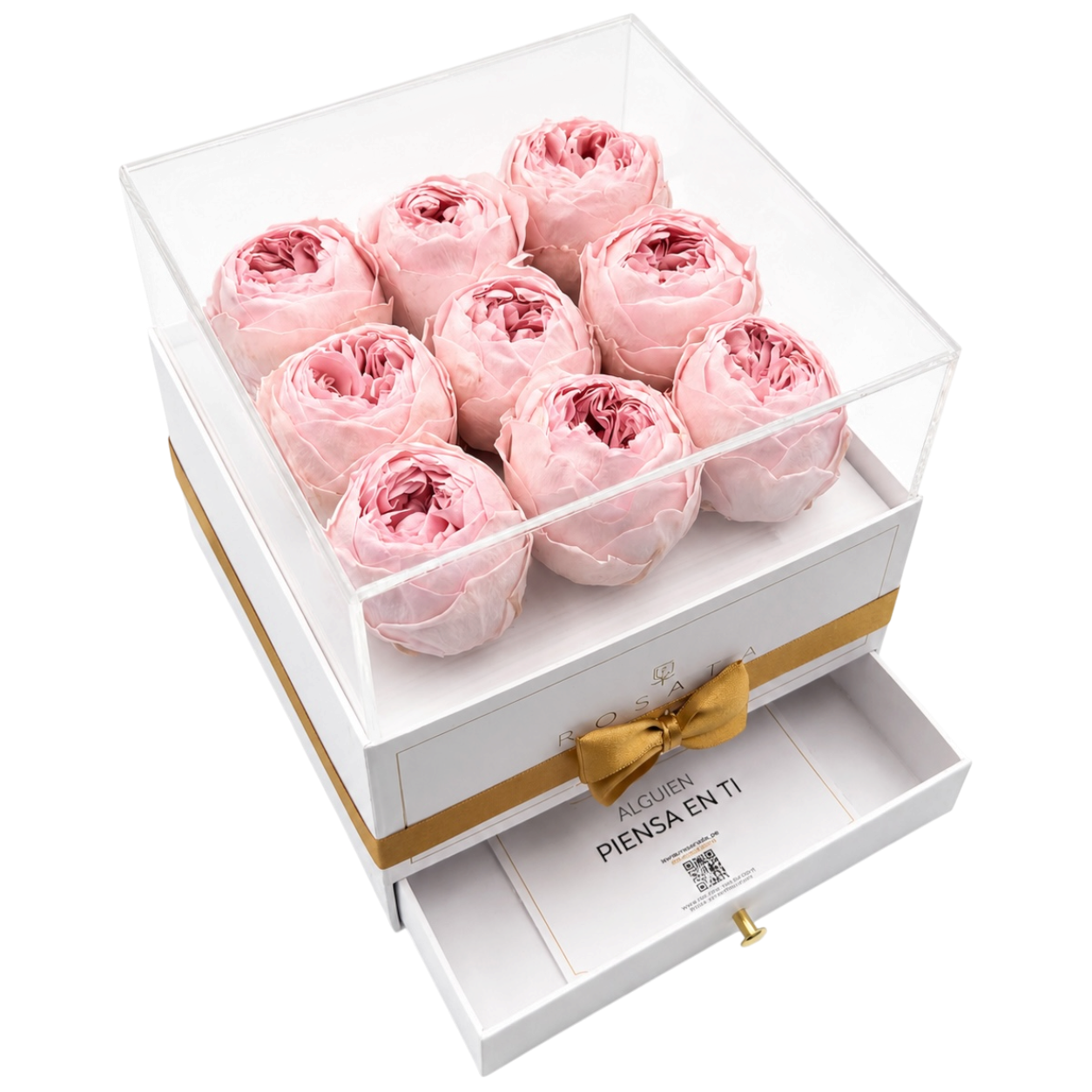 Harmonia White | 9 Peonias