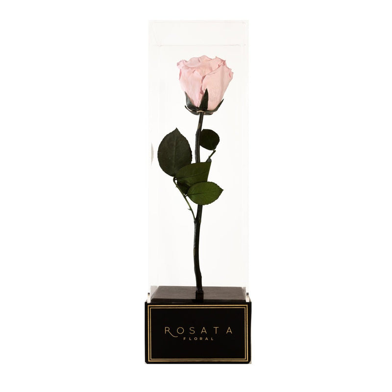 Imperiora Rosa - Preventa Madres - arreglo de rosas - Rosata Floral