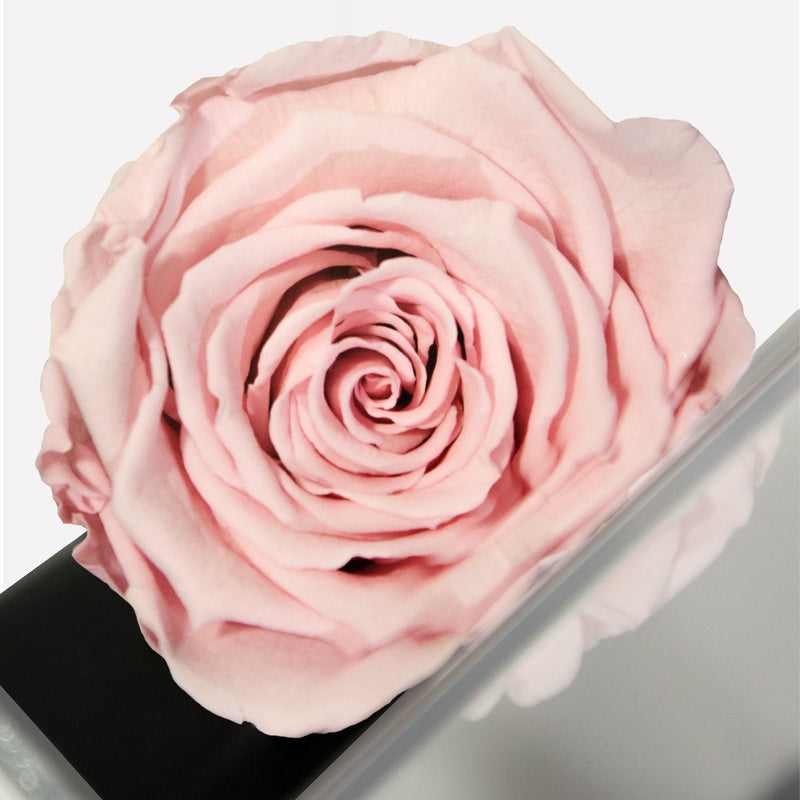 Imperiora - arreglo de rosas - Rosata Floral