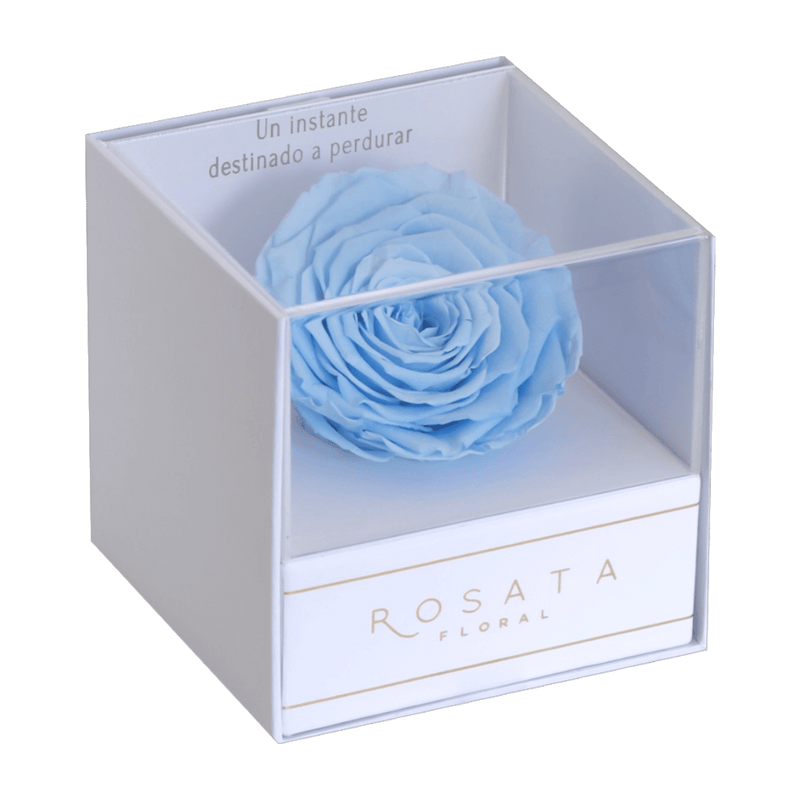 Everty White Azul - arreglo de rosas - Rosata Floral