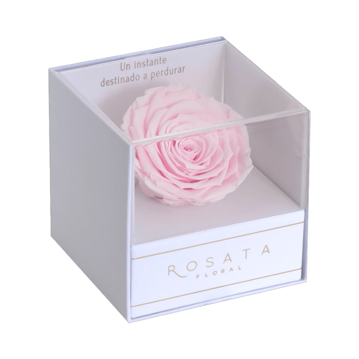 Everty White Rosa - arreglo de rosas - Rosata Floral