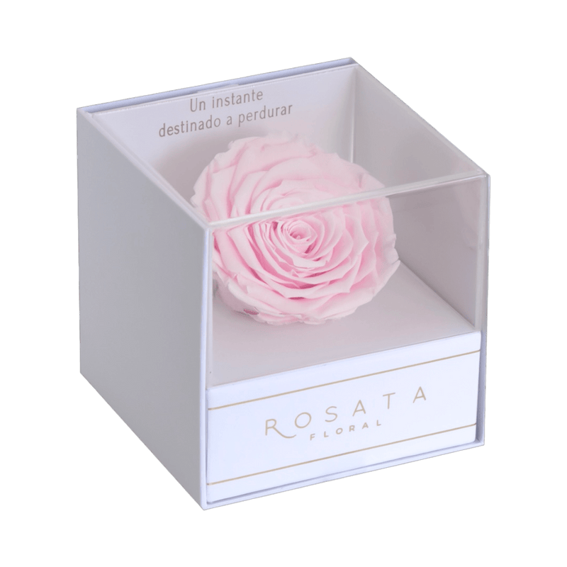 Everty White Rosa - arreglo de rosas - Rosata Floral