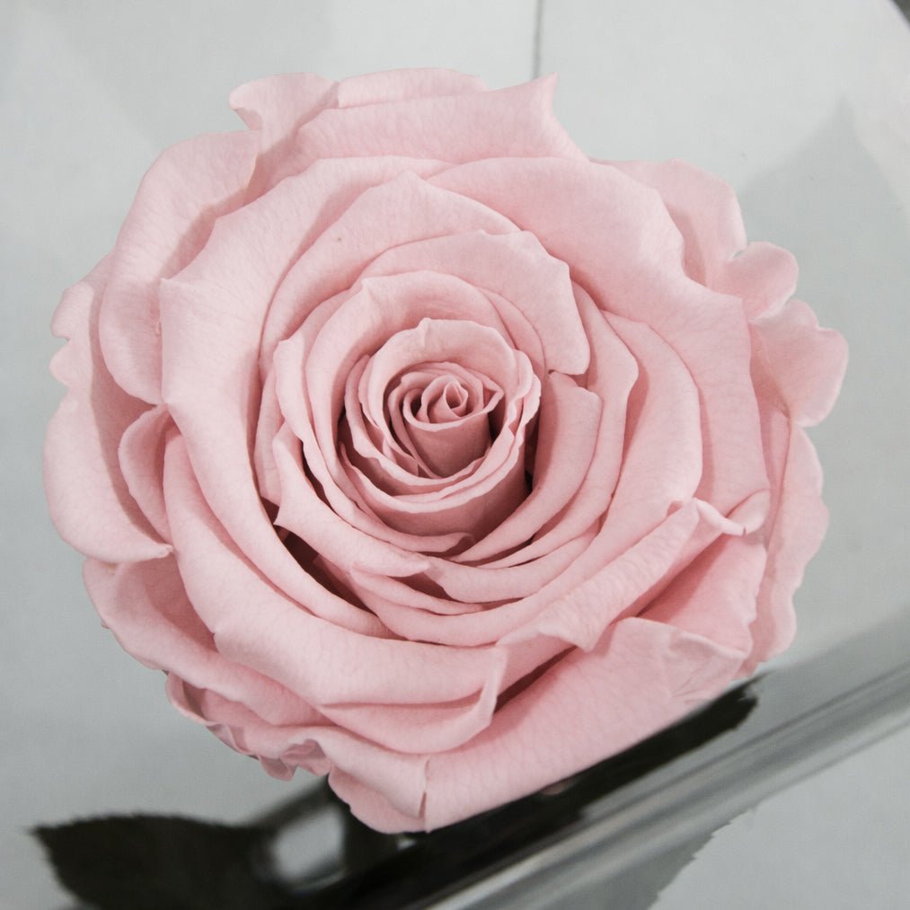 Imperiora Rosa - arreglo de rosas - Rosata Floral