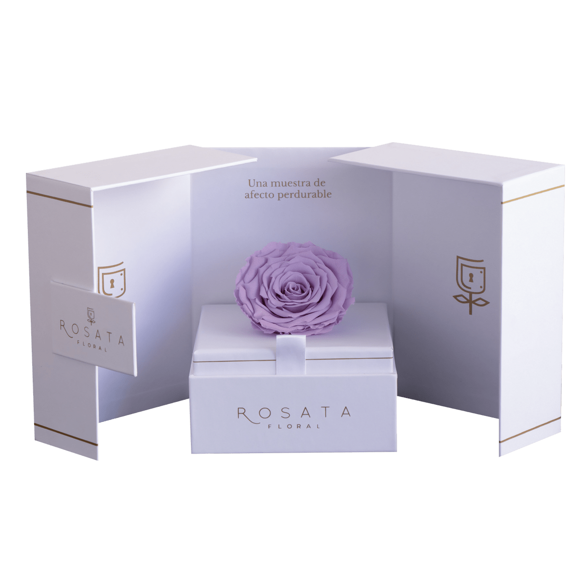 Eternal White - arreglo de rosas - Rosata Floral