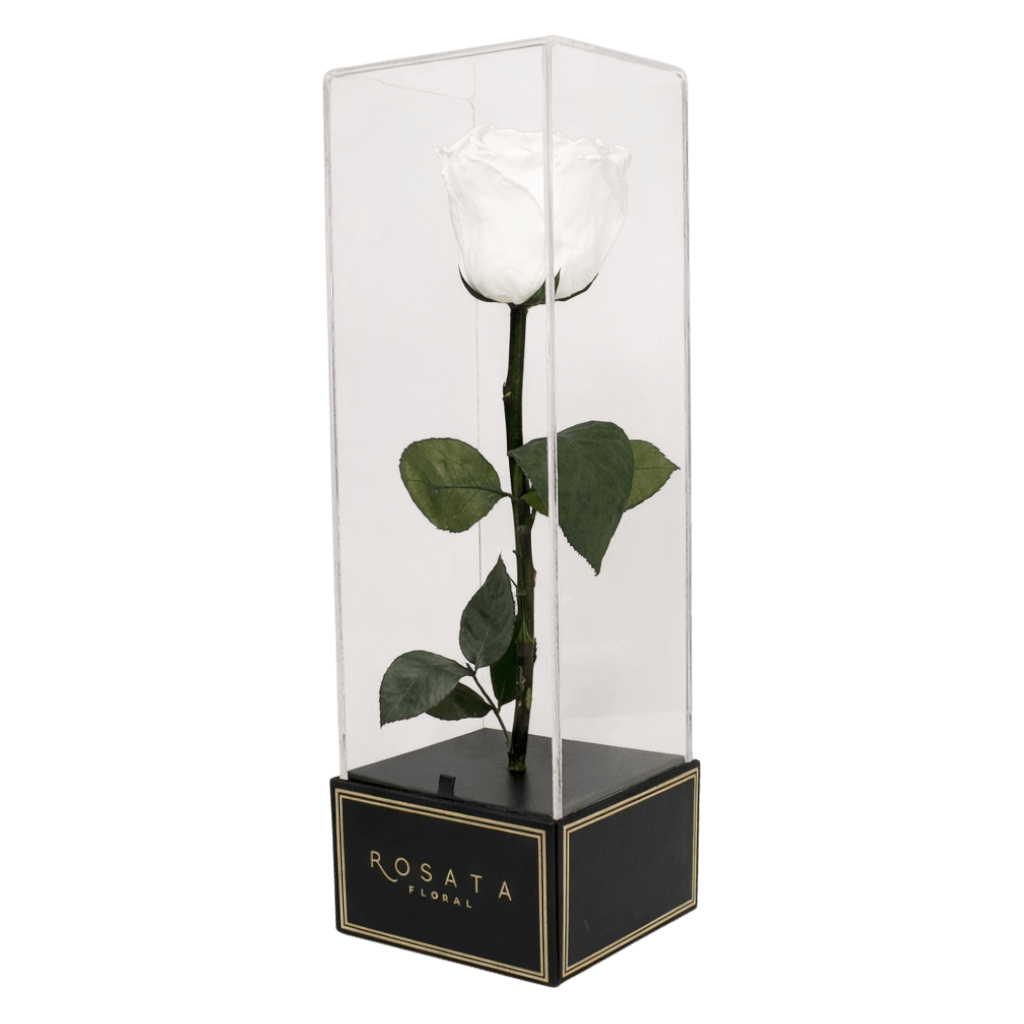 Imperiora Blanca - arreglo de rosas - Rosata Floral