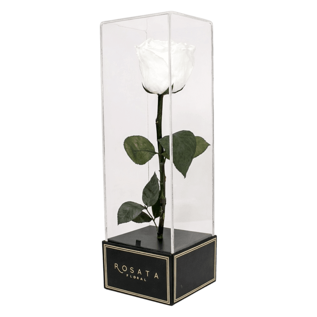 Imperiora - arreglo de rosas - Rosata Floral