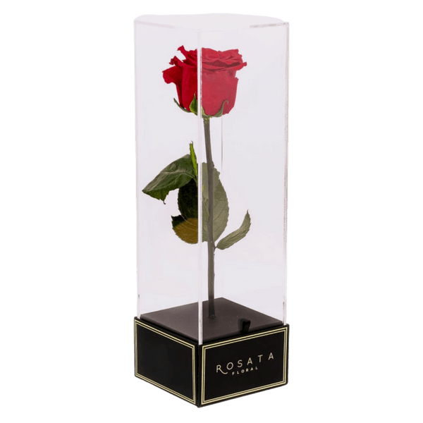 Imperiora - Preventa San Valentín - arreglo de rosas - Rosata Floral