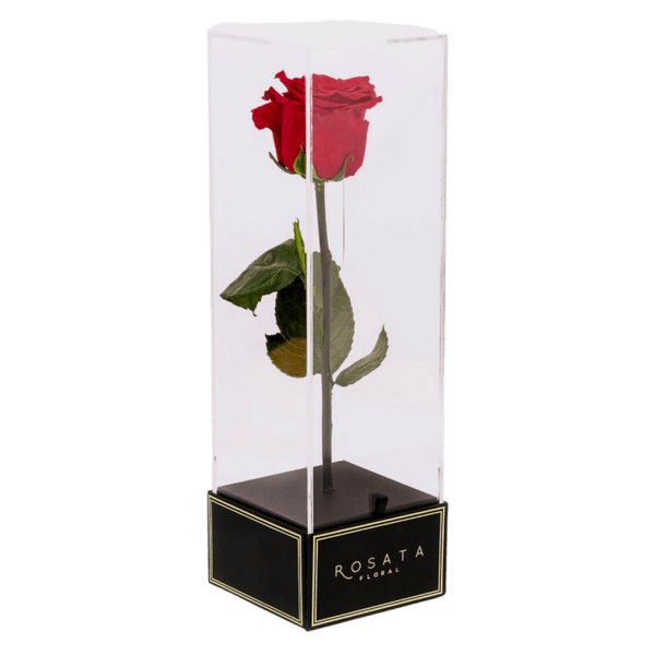 Imperiora - arreglo de rosas - Rosata Floral