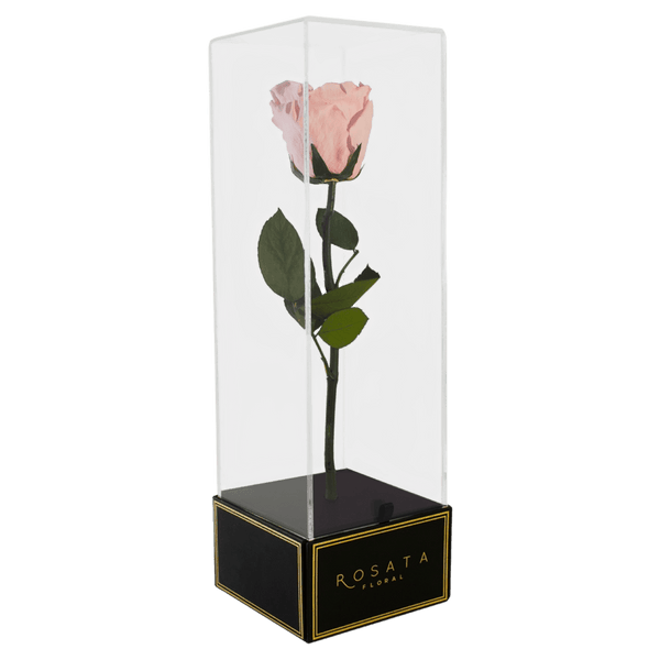 Imperiora Rosa - Preventa Madres - arreglo de rosas - Rosata Floral