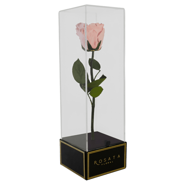 Imperiora - arreglo de rosas - Rosata Floral