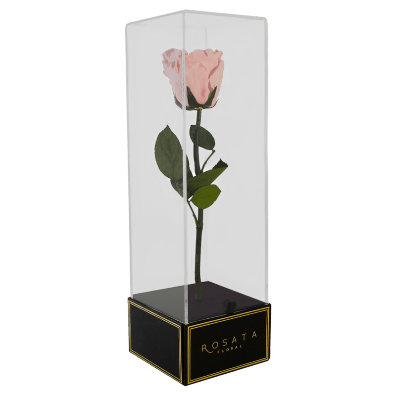 Imperiora - arreglo de rosas - Rosata Floral