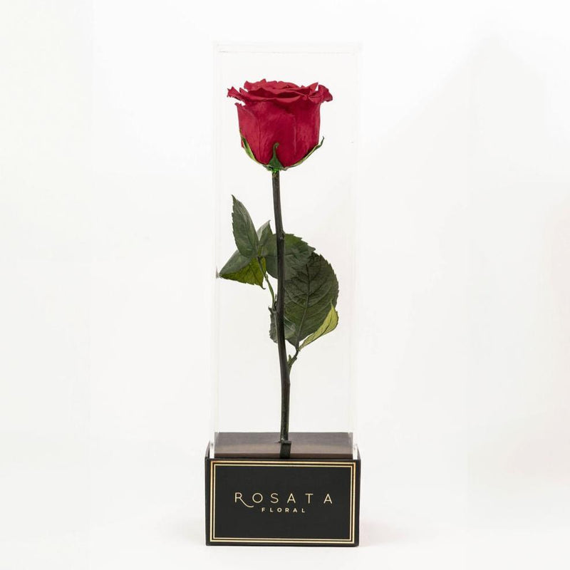 Imperiora - Preventa San Valentín - arreglo de rosas - Rosata Floral