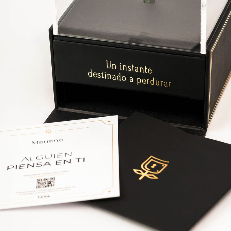 Everty + Imperiora – Distinción Doble