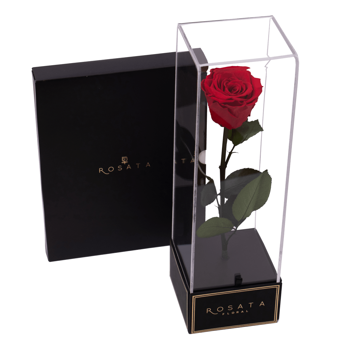 Imperiora con marco - arreglo de rosas - Rosata Floral