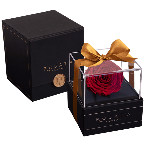 Elegance - Preventa San Valentín - arreglo de rosas - Rosata Floral