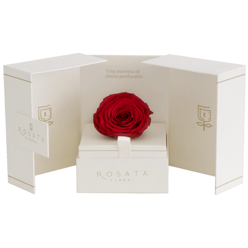 Eternal Champagne - Preventa San Valentín - arreglo de rosas - Rosata Floral