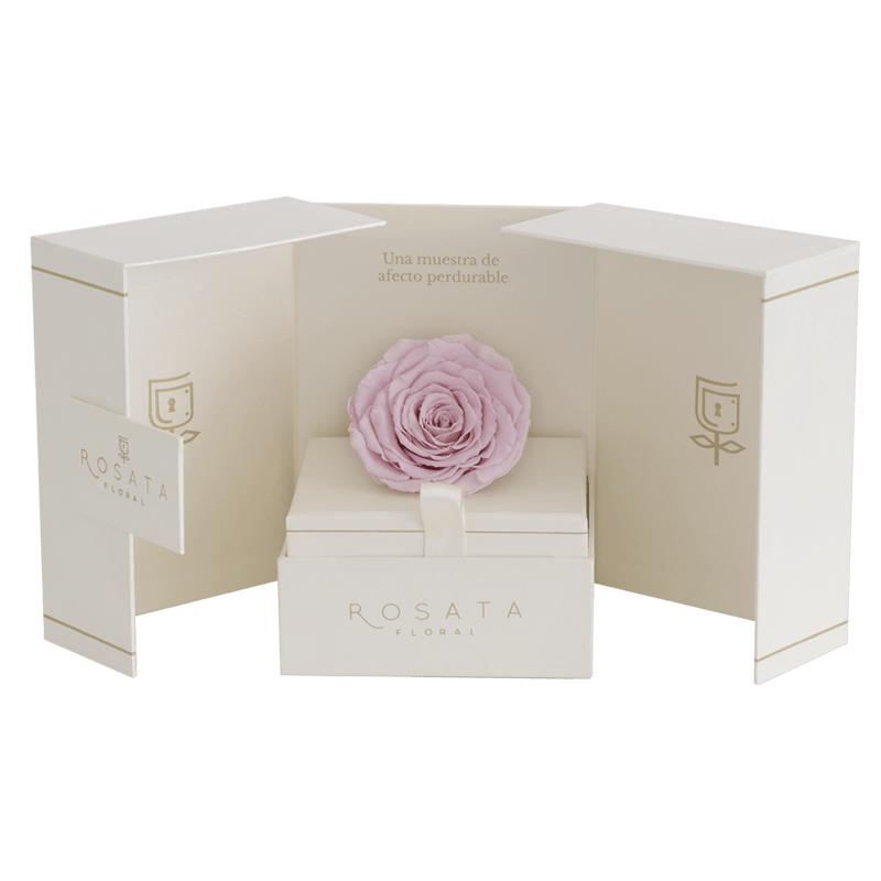 Eternal Champagne - Preventa San Valentín - arreglo de rosas - Rosata Floral