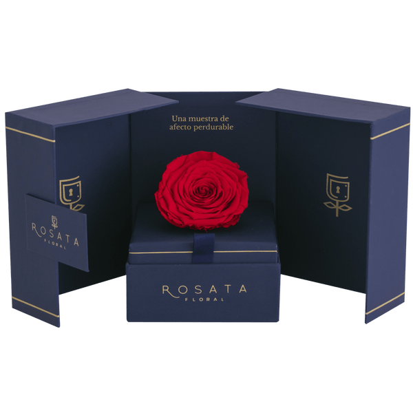 Eternal Saphiro - Preventa San Valentín - arreglo de rosas - Rosata Floral