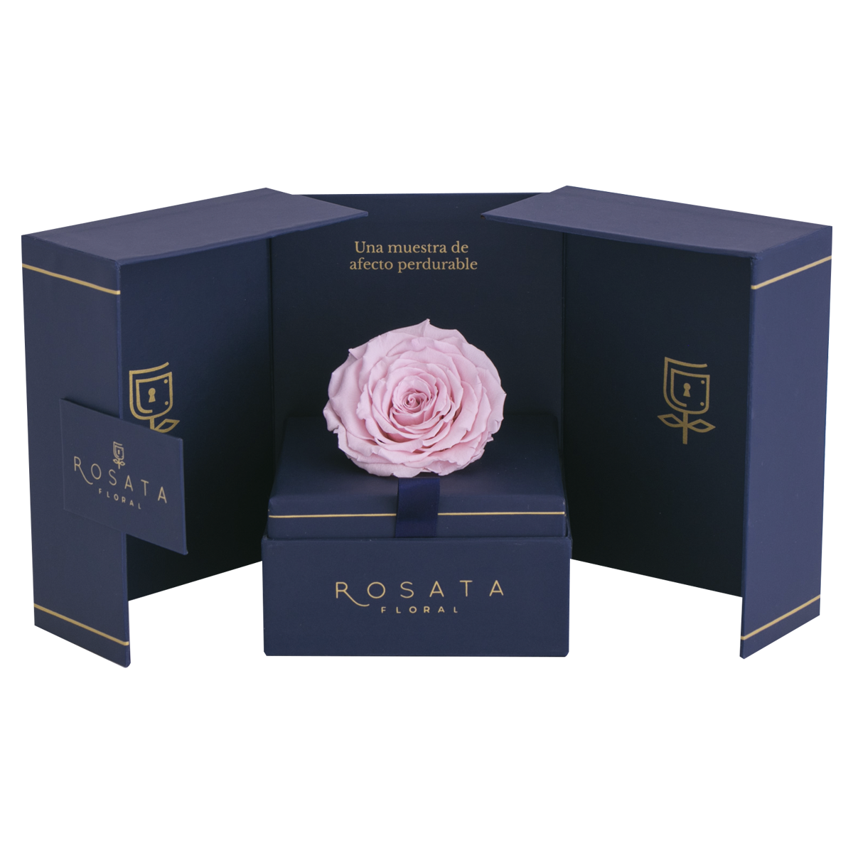 Eternal Saphiro Rosa