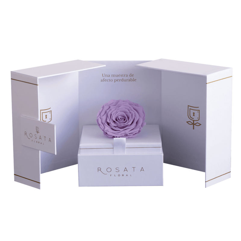 Eternal White - Preventa San Valentín - arreglo de rosas - Rosata Floral