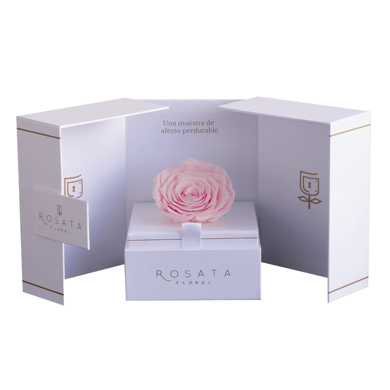 Eternal White - Preventa San Valentín - arreglo de rosas - Rosata Floral