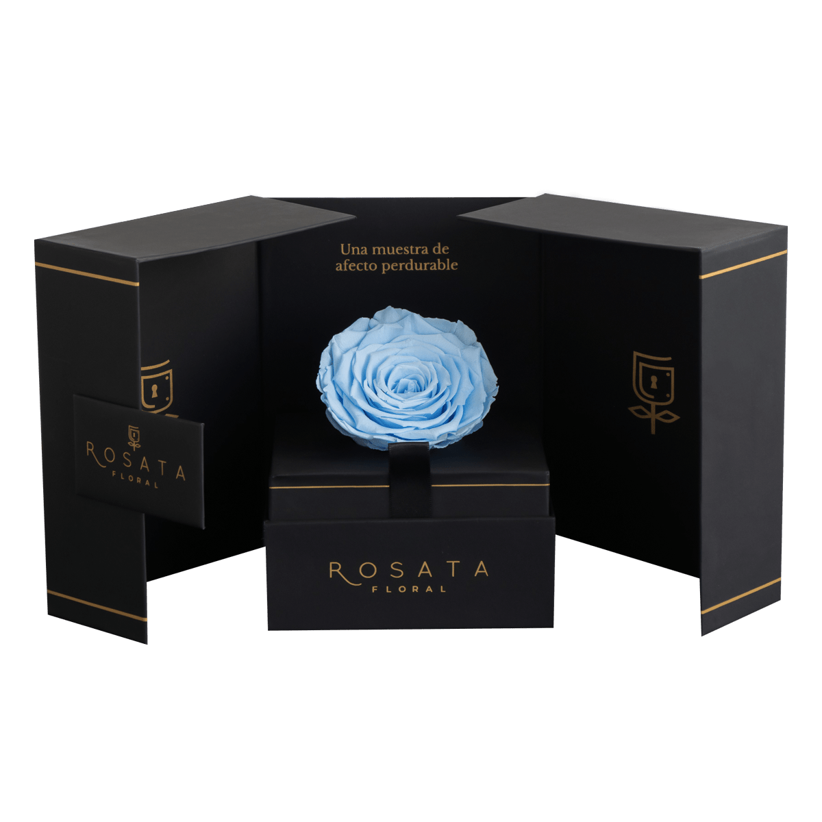 Eternal - Rosa preservada con dedicatoria - arreglo de rosas - Rosata Floral