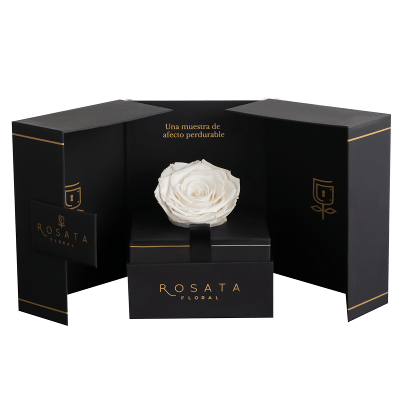 Eternal - arreglo de rosas - Rosata Floral