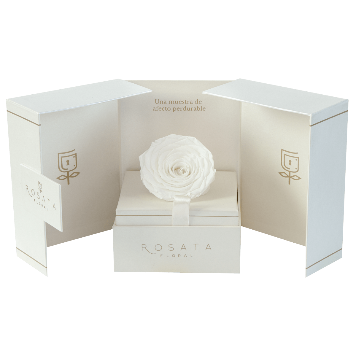 Eternal Champagne - arreglo de rosas - Rosata Floral