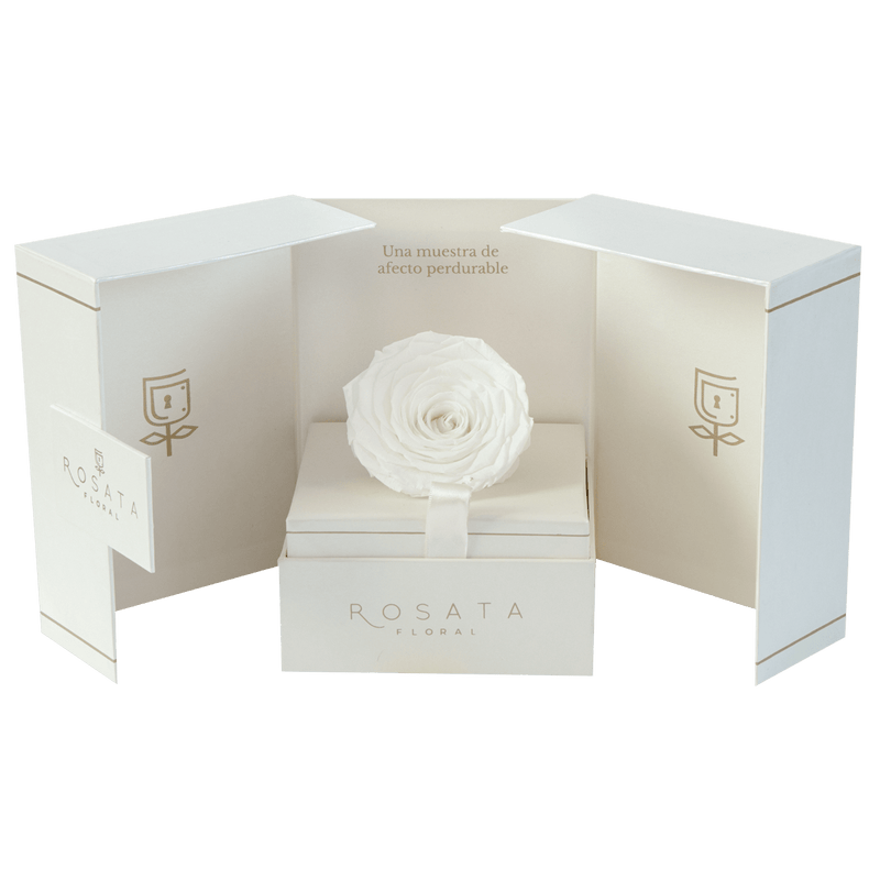 Eternal Champagne - arreglo de rosas - Rosata Floral