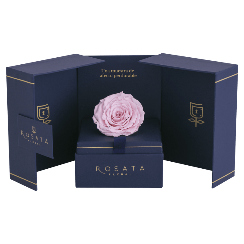 Eternal Saphiro - Preventa San Valentín - arreglo de rosas - Rosata Floral