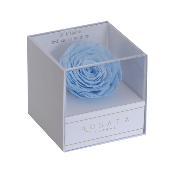 Everty White Azul - arreglo de rosas - Rosata Floral