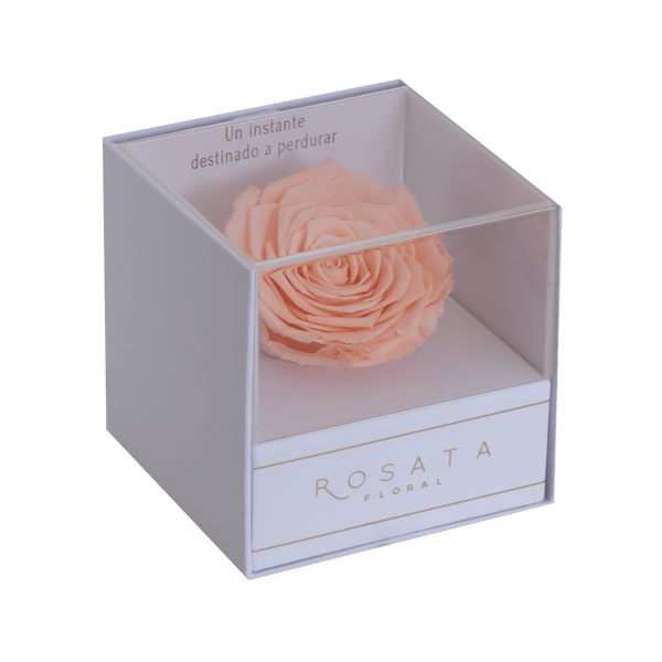 Everty White Coral - arreglo de rosas - Rosata Floral
