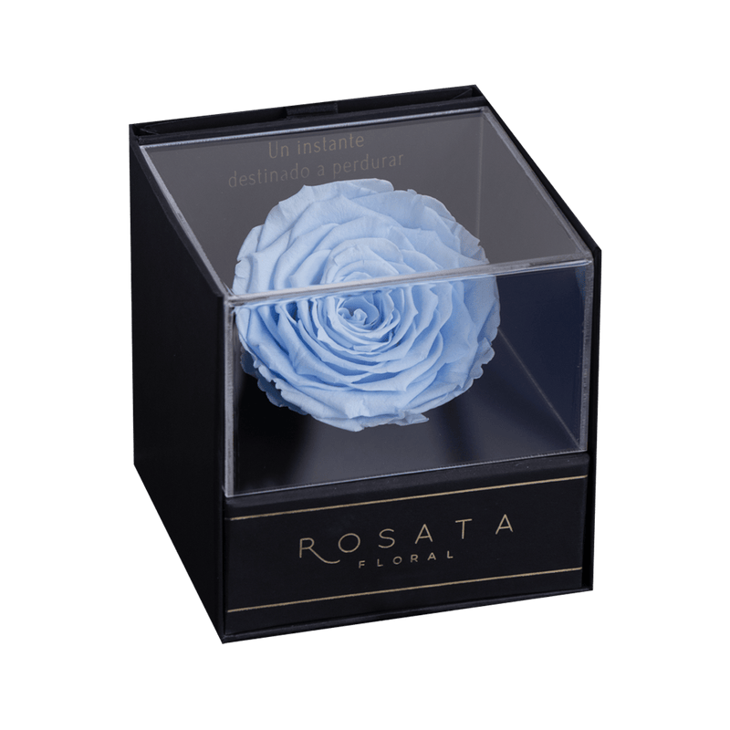 Everty Azul - arreglo de rosas - Rosata Floral