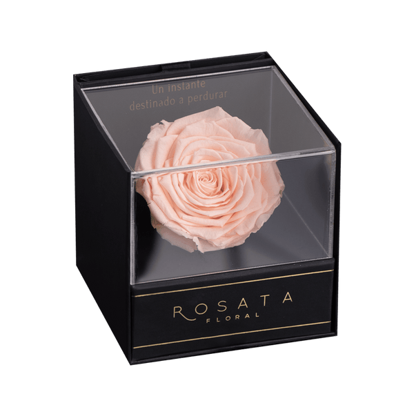 Everty Coral - arreglo de rosas - Rosata Floral