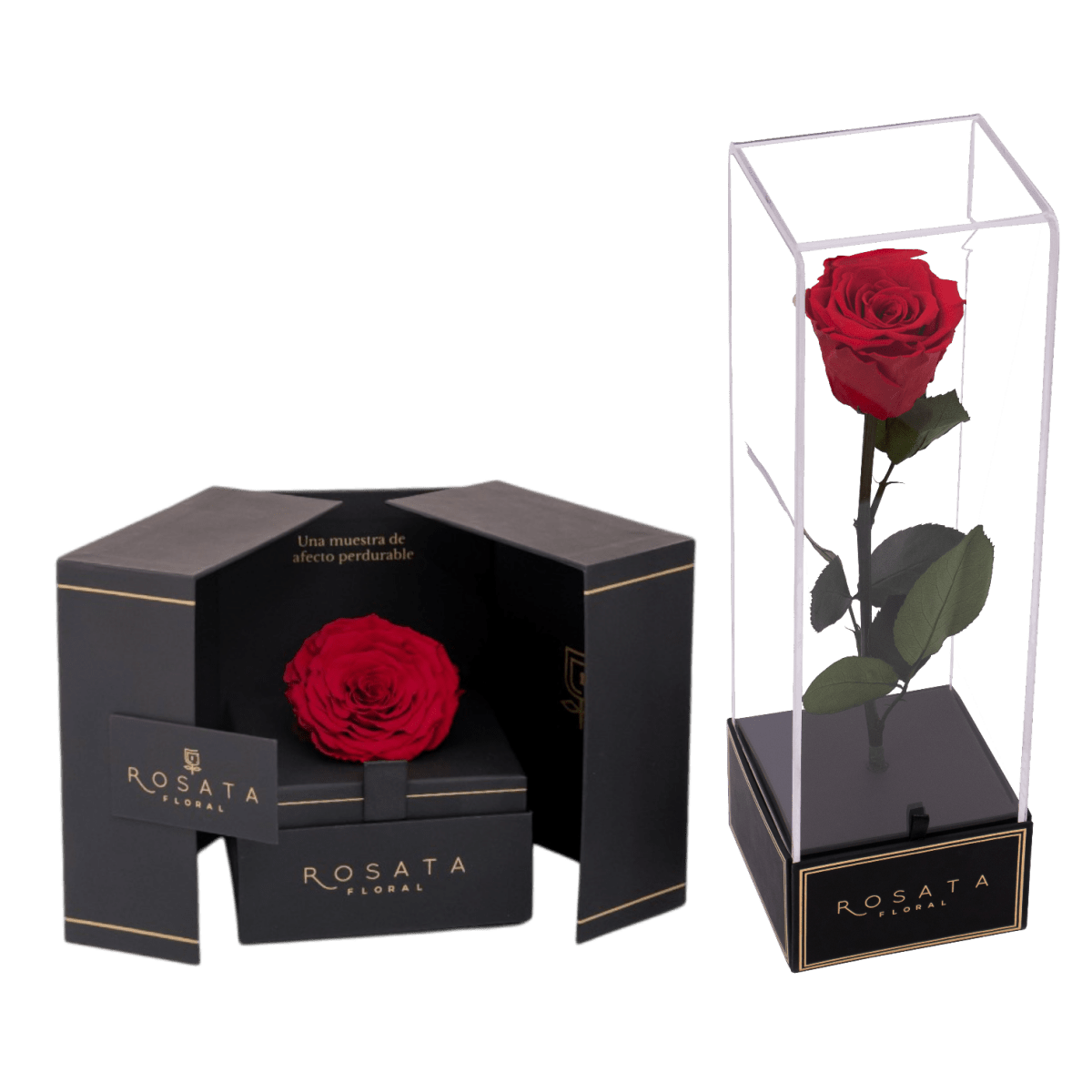 Dúo: Contraste perfecto - arreglo de rosas - Rosata Floral