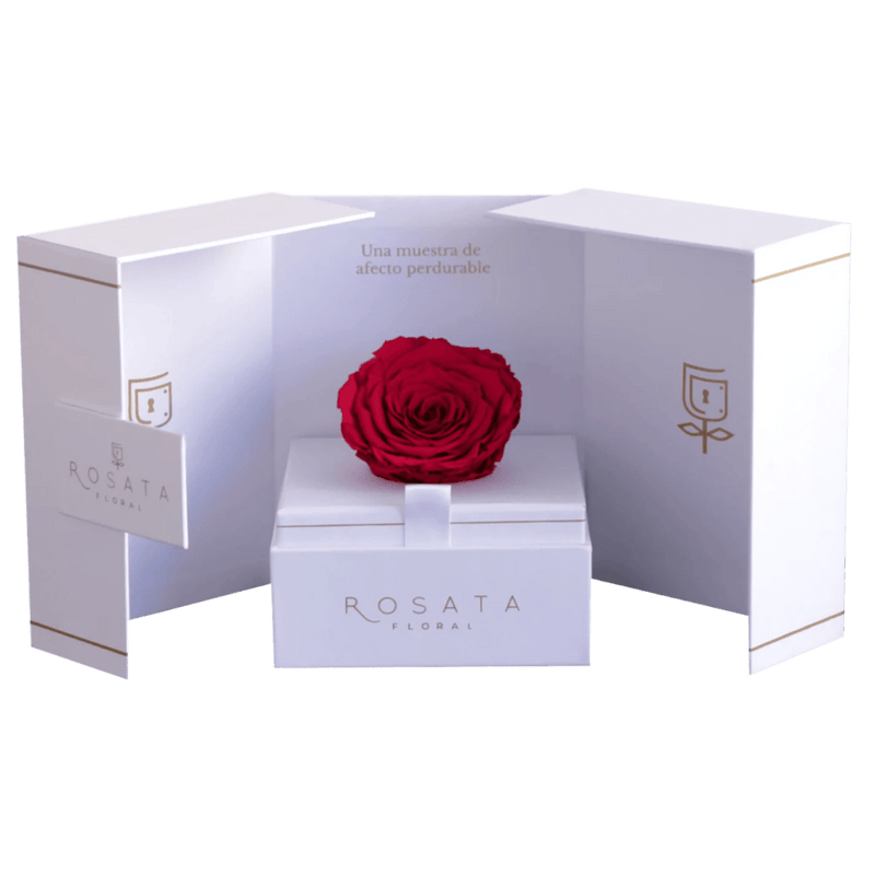 Eternal White - Preventa San Valentín - arreglo de rosas - Rosata Floral