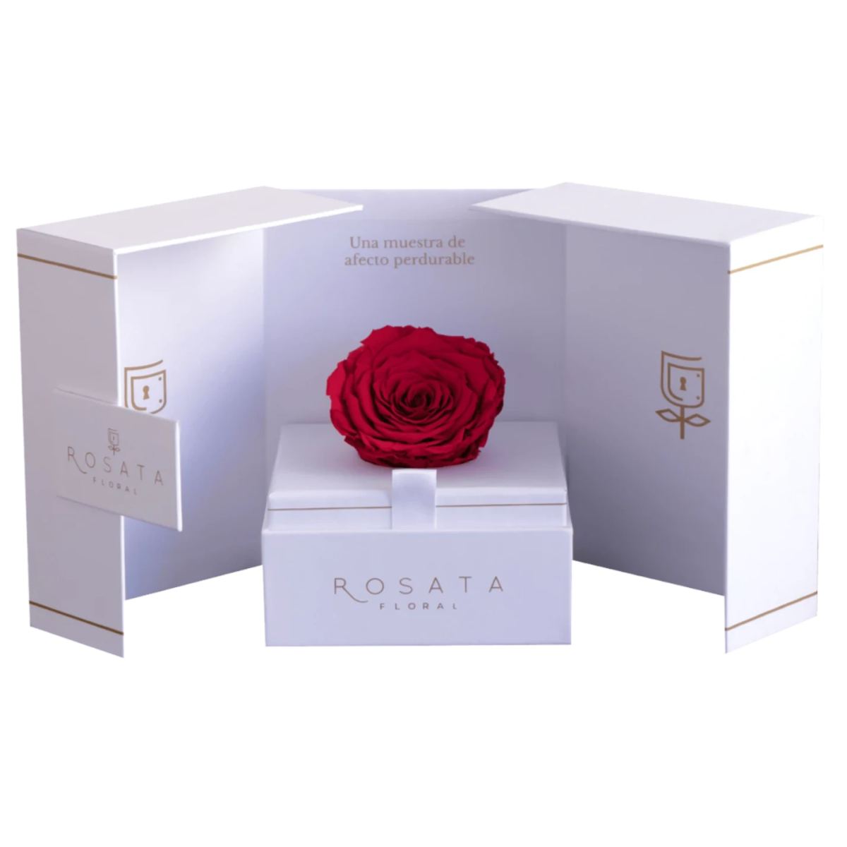 Eternal White - arreglo de rosas - Rosata Floral