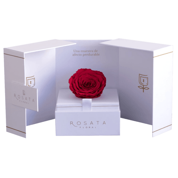 Eternal White - Puebla - arreglo de rosas - Rosata Floral