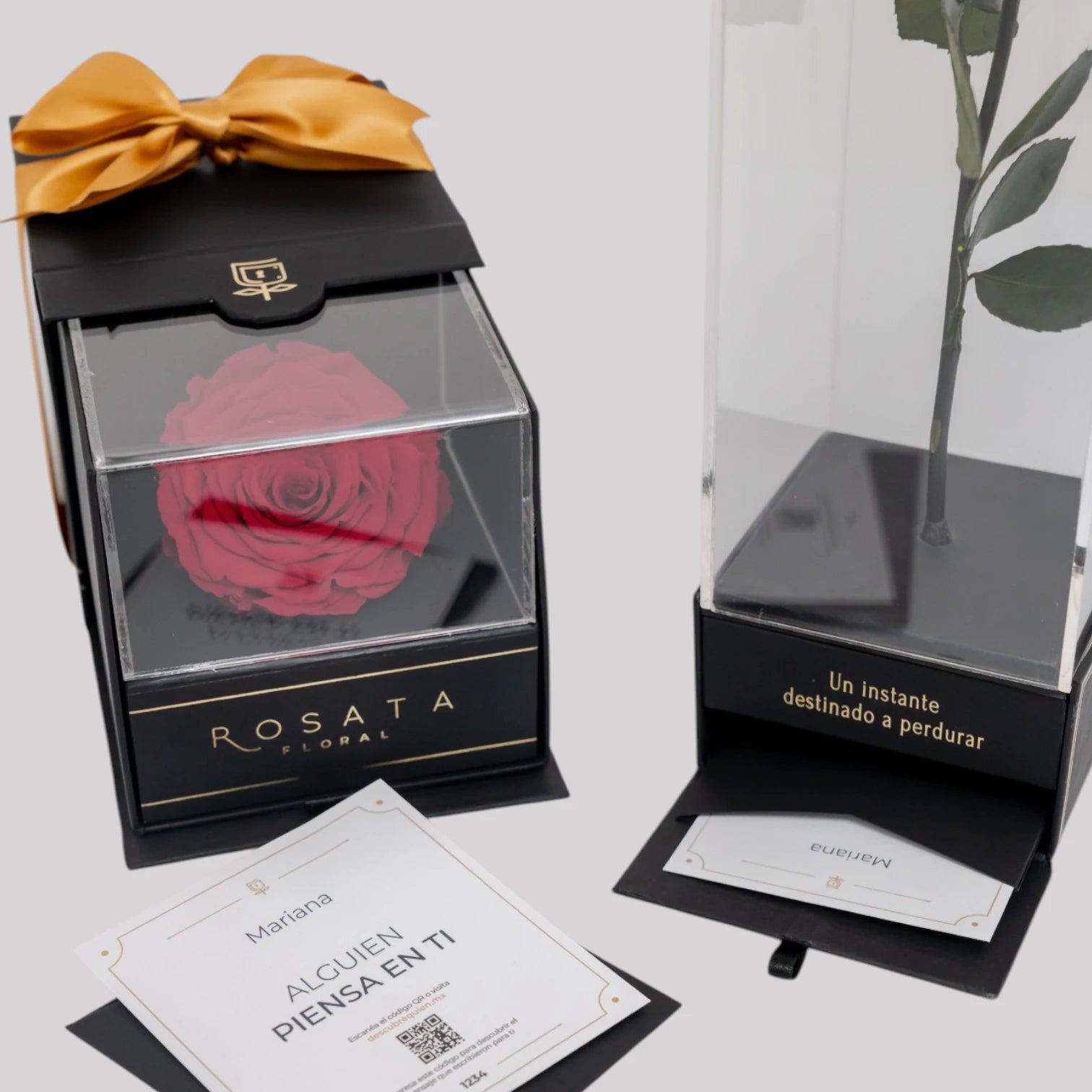 Dúo: Elegancia con fuerza - arreglo de rosas - Rosata Floral