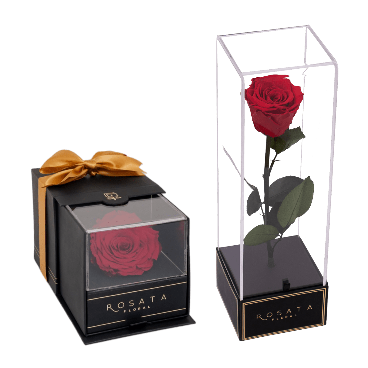 Dúo: Elegancia con fuerza - arreglo de rosas - Rosata Floral