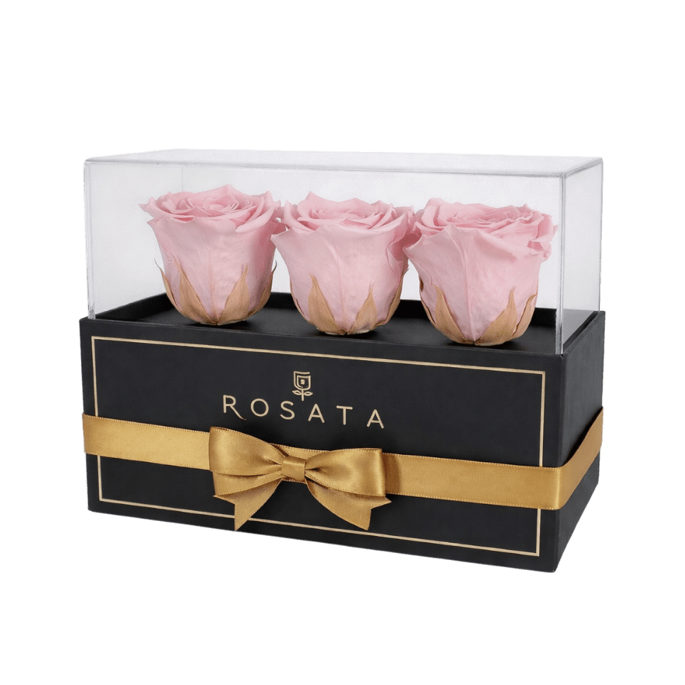 Harmonia 3 - Rosas - arreglo de rosas - Rosata Floral